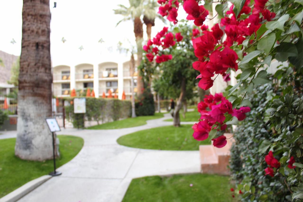 Palm Mountain & Spa Hotel Palm Springs