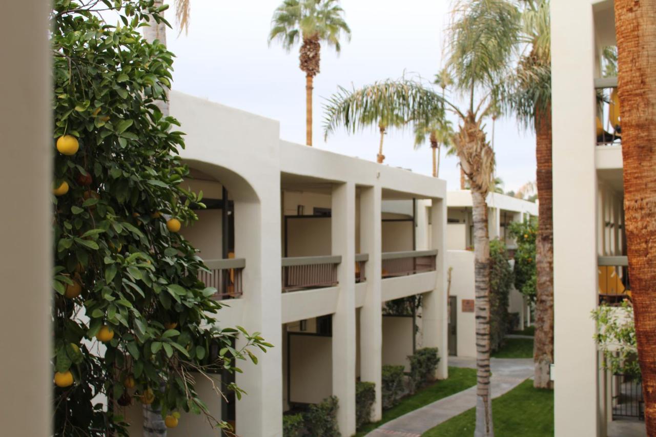 Hotel Palm Mountain Y